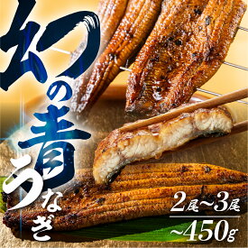 【ふるさと納税】幻の青 うなぎ 2尾 3尾 ランキング 入り 高評価 蒲焼 発送時期が選べる 300g ~ 450g 厳選 鰻 蒲焼き 最高級 土用の丑の日 母の日 丑の日 指定日 うなぎ 冷凍 丑の日 惣菜 unagi ランキング 1位 送料無料 ギフト どうまい