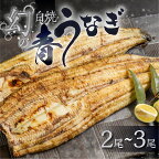 《5月末金額改定》幻の青うなぎ 白焼 選べる尾数 2尾 ～ 3尾 タレ付き 山椒付き 厳選 青鰻 ウナギ うなぎ 鰻 白焼き 最高級 ひつまぶし 土用丑の日 ギフト 冷凍 増量 丑の日 簡単調理 父の日 こだわり 人気 unagi お取り寄せ 10000円 1万円 一万円