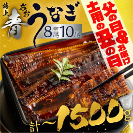 【ふるさと納税】幻の青うなぎ 蒲焼 父の日 丑の日 2週間以内発送 発送時期が選べる 8尾 10尾 1200g ~ 1500g 厳選 青鰻 鰻 蒲焼き 最高級 長蒲焼 特大サイズ 土用丑の日 先行予約 うなぎ ひつまぶし 冷凍 丑の日 惣菜 unagi ランキング 1位 送料無料 40000円 50000円