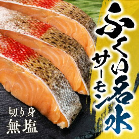 【ふるさと納税】ふくい名水サーモン 切身 無塩 サーモン 鮭 トラウトサーモン さけ しゃけ サケ シャケ おかず 弁当 魚 焼き魚 焼鮭 ムニエル フライ 鮭フライ 魚介類 冷凍 真空 切り身 愛知県 田原市 渥美半島 長栄 お取り寄せ お取り寄せグルメ 食品 送料無料 産地直送