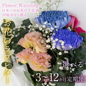 yӂ邳Ɣ[Łz ԉ̃^niBOX  3 6 12 Iׂ   t[AWg   ԑ  Ԃ̒ u[P G Mtg j a LO Mtg