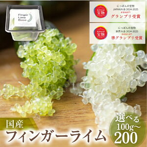 yӂ邳Ɣ[Łzs\ tBK[CA\[g ʎ 100g 200g lߍ i킨C tBK[C FINGER LIME JAPANF LrAC t[cLrA X̃LrA k m c