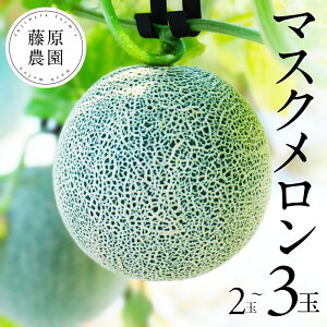 �y�ӂ邳�Ɣ[�Łz�y��s�\��z�O�Ղ̃����� 2�� ���胁���� �A�[���X������ �t���[�c �ʕ� ���m�� �c���s �������� ������ �M�t�g ���蕨 �v���[���g ���� �����p ������ ���x ������ ��