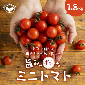 �y�ӂ邳�Ɣ[�Łz�|�݋l�ߍ��� �~�j�g�}�g 1.8kg ��s�\���t ���Ԍ��� �G�ߌ��� ��� ���Y ���n �₳�� �t���[�c �g�}�g ���n �L������ �~�j�g�}�g �v�` ���ٓ� ���蕨 ����� �T���_ ������