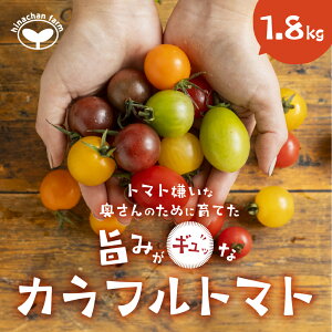 �y�ӂ邳�Ɣ[�Łz���s�\��� �|�݋l�ߍ��� �J���t���g�}�g 1.8kg ��s�\���t ���Ԍ��� �G�ߌ��� ��� ���Y ���n �₳�� �t���[�c �g�}�g ���n �~�j�g�}�g �v�` ���ٓ� ���蕨 ����� �T��