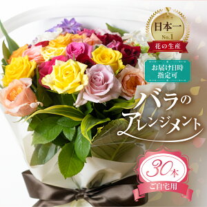 yӂ邳Ɣ[ŁzoƃO[̉ԑ 30{ p o KN (󂠂 KiO@܂)[Y ԑ Ϗܗp Mtg v[g 蕨 p p a A  t[  t