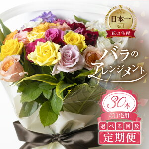 yӂ邳Ɣ[Łz 3 /6 /12 oƃO[ ԑ 30{ p o KN (󂠂 KiO@܂)[Y w ԑMtg v[g 蕨 p p a A 