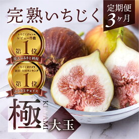 【ふるさと納税】先行予約2026年発送 定期便 3カ月 完熟 いちじく ［極］大玉 9-12玉 果物 無花果 イチジク くだもの フルーツ 贅沢品 贈答品 高級品 ブランド お取り寄せ 産地直送 田原市