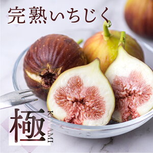 yӂ邳Ɣ[Łz  9-12 ]4.89 n  ss\t 1/2 Iׂ t[c w ܔ_ ʕ ԉ C`WN   LO 