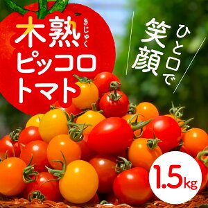 yӂ邳Ɣ[ŁzsbR g}g 1.5kg s\t Ԍ Gߌ  Y n ₳ t[c g}g n ~jg}g v` ٓ 蕨  T_  Yn