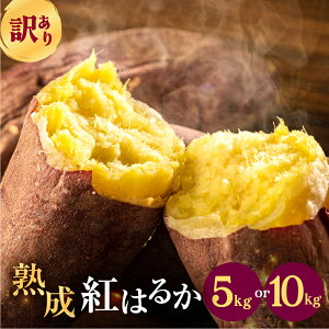 yӂ邳Ɣ[Łzs\ 󂠂 ܂ 5kg / 10kg TCYI g͂邩 Tc}C n Ă XC[g|eg  cs  傫s