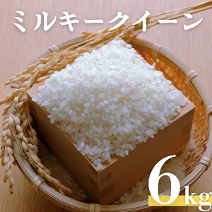 yӂ邳Ɣ[Łzߘa7NxY~L[NC[ 6kg 󏭕 Ė≮ ɐ    R ͂    ͂ uh ٓ   ЊQ  