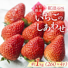 【ふるさと納税】≪先行予約≫ 愛知県・田原産 ブランドいちご『いちごのしあわせ』4パック（約260g×4） 2026年1月〜発送開始 大粒 激甘 イチゴ 激甘 いちご 苺 果物 激甘 くだもの 激甘 フルーツ ブランド 贅沢品 激甘 贈答品 激甘 お取り寄せ田原市 産地直送 送料無料