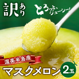 【ふるさと納税】メロン 2玉 マスクメロン 訳あり (1玉 1.3kg以上) 先行予約 2026年発送 ご自宅用 渥美半島産 先行予約 マルカ農園 メロン めろん 箱詰め 定期便 どうまい フルーツ 果物 愛知県 田原市 産地直送 夏 メロン 糖度 メロン 青肉