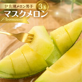 【ふるさと納税】 先行予約 メロン 伊良湖産 マスクメロン 限定品 3玉 プレミアム 箱詰め フルーツ 果物 お中元 お取り寄せ ギフト 渥美半島 田原市 伊良湖メロン男子 産地直送 送料無料 メロン 糖度 メロン 青肉