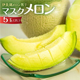 【ふるさと納税】 先行予約 伊良湖産 マスクメロン 5玉 2Lサイズ 訳あり 箱詰め メロン フルーツ 果物 お中元 お取り寄せ ギフト 渥美半島 田原市 伊良湖メロン男子 産地直送 送料無料 メロン 糖度 メロン 青肉