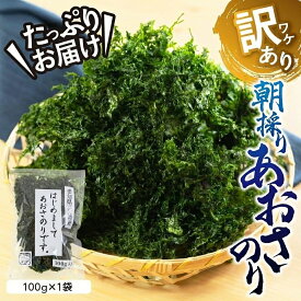 【ふるさと納税】 訳あり あおさ 100g / 300g 選べる 大容量 ＼大満足の★5／ 100g×3袋 簡易包装 愛知県 三河湾産 「はじめまして あおさのり です。」あおさ海苔 海苔 味噌汁 みそ汁 具 海藻類 アオサ 訳アリ 大容量 送料無料 国産 食品 田原市 人気