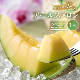【ふるさと納税】先行予約 日研農園 アールスメロン　2L×1玉入 ／ めろん フルーツ 果物 ジューシー 愛知県 特産品 箱詰め フルーツ 果物 8月 お取り寄せ 渥美半島 田原市 産地直送 夏 送料無料 高糖度 メロン 糖度 メロン 青肉 ド甘い 暑さ 対策 暑さ対策