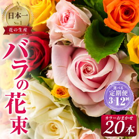 【ふるさと納税】バラ 花束 20本 花 定期便 選べる 3回 6回 12回 お届け チャーミングローズ 薔薇 ローズ 生花 ミックス 誕生日 フラワー 雑貨 インテリア 産地直送 人気 母の日 父の日 3ヵ月 6ヶ月 12ヵ月 ばら 贈り物 プレゼント ギフト 贈答