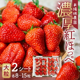 【ふるさと納税】≪先行予約≫ 紅ほっぺ 8〜15粒 2シート 発送時期が選べる イチゴ 激甘 いちご 激甘 苺 激甘 果物 くだもの フルーツ お陽様農園 お取り寄せ 田原市 渥美半島 産地直送 送料無料
