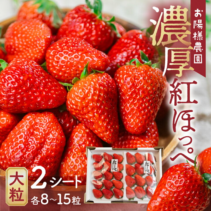 楽天市場】【ふるさと納税】≪先行予約≫ 紅ほっぺ 8〜15粒 2シート