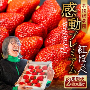 yӂ邳Ɣ[Łzys\zv~A gق 2񂨓͂  嗱 2V[g 2026N1{`Jn C`S     ʕ   t[c zl_  