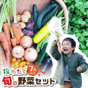 yӂ邳Ɣ[Łz{̖ 7iڈȏ ܎ {ʖ؃Zbg 7i Vst ͂ Y VN _sgp w엿sgp Yn  