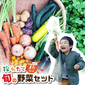 yӂ邳Ɣ[Łz{̖ 7iڈȏ ܎ {ʖ؃Zbg 7i ×2 Vst ͂ Y VN _sgp w엿sgp Yn  