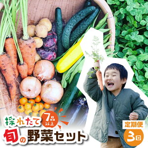 yӂ邳Ɣ[Łz܎ {ʖ؃Zbg 3  {̖ 7iڈȏ Vst ͂ Y VN _sgp w엿sgp ؃\G {̖ڗ ] S S _ƒ 