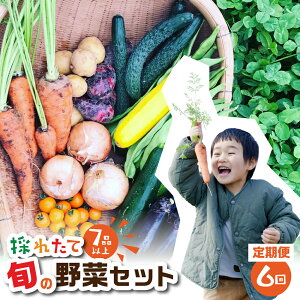 【ふるさと納税】金賞受賞 旬彩野菜セット 6回 定期便 旬の野菜 7品目以上 レシピ付き お届け 国産 新鮮 農薬不使用 化学肥料不使用 野菜ソムリエ 旬の目利き 高評価 安心 安全 農家直送 直