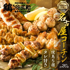 【ふるさと納税】高評価 ☆4.8 鶏三和 焼き鳥 串 5種 20本 名古屋コーチン たれ付き （ももねぎま・ささみ・ぼんじり・皮 / つくね串）各4本 地鶏 焼鳥 鶏肉 肉 おつまみ やきとり さんわ 渥美半島 田原市 人気 1万円 10000円