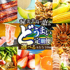 【ふるさと納税】どうまい 定期便 選べる 全3回/5回/10回 海鮮 フルーツ 果物 野菜 肉 うなぎ いちご 名古屋コーチン メロン ハム 魚 鰻 ウナギ 蒲焼 メロン 地鶏 豚肉 高評価 幻の青うなぎ 野菜 肉 牛肉 みかん サーモン 鮭 みかわポーク 定期便 定期便 どうまい 焼き鳥