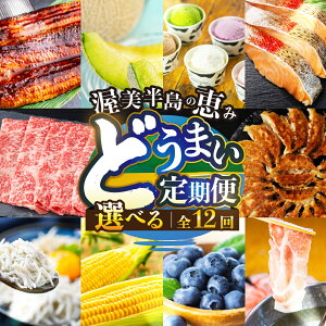 yӂ邳Ɣ[Łžb  12 _]4.86^ ( Ȃ / uh /  / 炷/ Lq / WF[g / Ƃ낱 / Ă / g}g /  /  ) 12 1N V Ei