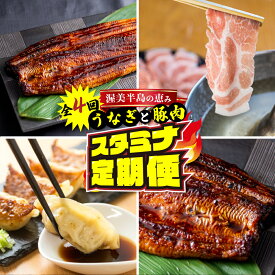 【ふるさと納税】渥美半島の恵み スタミナ 定期便 4回 ( うなぎ / 豚肉 / 餃子 / うなぎ) 惣菜 4ヶ月 魚 鰻 ウナギ 蒲焼 豚 ポーク 丼 ブランド お楽しみ 海の幸 人気 愛知県 田原市 4万円