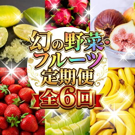 【ふるさと納税】幻の野菜・フルーツ 定期便 6回お届け 先行予約 くだもの 果物 旬 めろん イチジク 夏 夏季 人気 愛知県 田原市 ド甘い