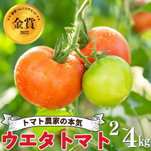 yӂ邳Ɣ[Łz_]5^ s\ EG^g}g Iׂ 2kg / 4kg g}g VN t[cg}g Ƃ܂ ~̃g}g N Rs  񂹃O Hi Yn m 