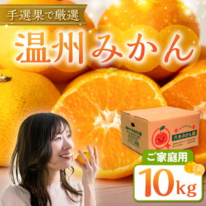 yӂ邳Ɣ[Łz_ƒ B݂ 10 kg 󂠂 TCY ƒp ݂ ~J mikan t[c ʕ Â   킯 PA s TCY s sTCY x S 1  l