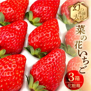 【ふるさと納税】先行予約 菜の花いちご 3箱(8粒〜12粒入) 大粒 イチゴ いちご 激甘 苺 激甘 果物 くだもの フルーツ 贅沢品 贈答品 高級品 ブランド 先行受付 お取り寄せ 田原市 産地直送 送