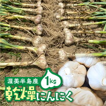 楽天市場】平戸ニンニクの通販