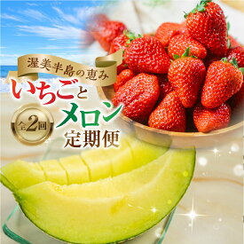 【ふるさと納税】 先行予約 メロン・イチゴ定期便 全2回 メロン 数量限定 渥美半島 伊良湖潮風育ち 田原市 お取り寄せ 産地直送 送料無料 どうまい ド甘い