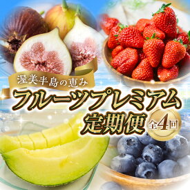 【ふるさと納税】 先行予約 フルーツ プレミアム定期便 全4回 (メロン / いちじく / ブルーベリー / いちご ) 果物 数量限定 渥美半島 伊良湖潮風育ち 田原市 お取り寄せ 産地直送 どうまい ド甘い