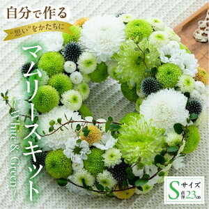 yӂ邳Ɣ[Łzy}[X Lbgz`White  Green` ԑ Ϗܗp Mtg v[g 蕨 p p A  t[  ͂  Yn cs 