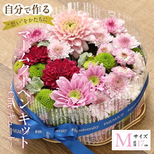 yӂ邳Ɣ[Łzy}[N[w Lbgz`Cute/L[g` ԑ Ϗܗp Mtg v[g 蕨 p p A  t[  ͂  Yn cs 