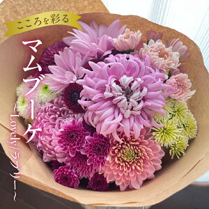 yӂ邳Ɣ[Łzy}u[Pz`Lovely/u[` ԑ Ϗܗp Mtg v[g 蕨 p p A  t[  ͂  Yn cs 