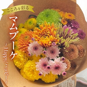 yӂ邳Ɣ[Łzy}u[Pz`Happy/nbs[` ԑ Ϗܗp Mtg v[g 蕨 p p A  t[  ͂  Yn cs 