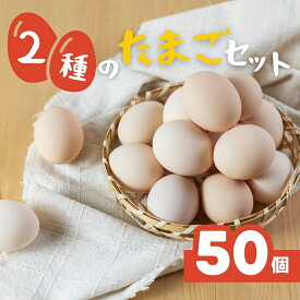 【ふるさと納税】希少な2種のたまごセット 50個 割れ保証付き 卵 たまご 鶏卵 50 お楽しみ