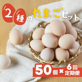 【ふるさと納税】希少な2種のたまごセット 50個 6ヶ月定期便 割れ保証付き 卵 たまご 鶏卵 50 お楽しみ 定期便 6回 6か月 6カ月 半年