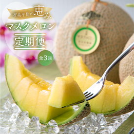 【ふるさと納税】【定期便】先行予約 マスクメロン 3回 伊良湖産 2玉 3Lサイズ 2025年7月スタート 箱詰め メロン フルーツ 果物 お中元 お取り寄せ ギフト 渥美半島 田原市 日研農園 産地直送 送料無料 メロン 糖度 メロン 青肉 ド甘い 暑さ 対策 暑さ対策