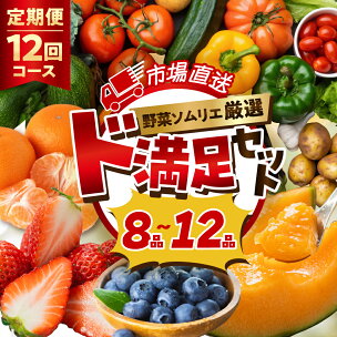 《定期便》 旬の野菜 フルーツ 詰め合わせ 8品〜12品 ...