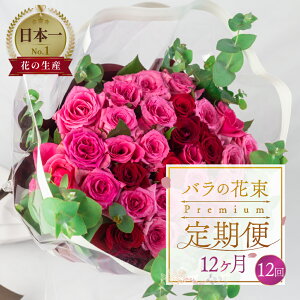yӂ邳Ɣ[Łzyցz񐔂Iׂ KN AWg ԑ v~A 30{ (50cm) 6 12 6 12 ͂ ŏ㋉ u[P KN [Y  Ϗܗp v[g  Mtg a 
